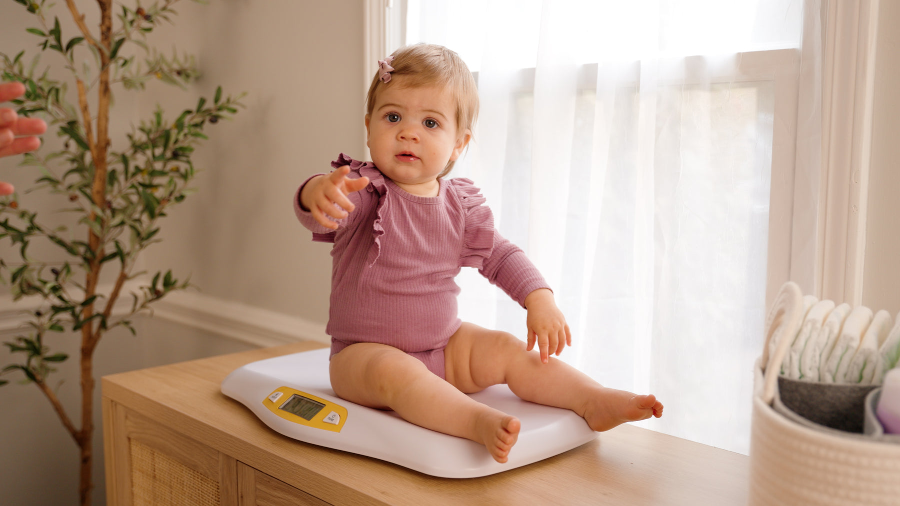 Trusted Baby Health Monitoring with Digital Baby Scale