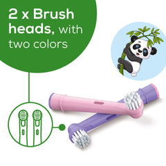 Polly the Panda Toothbrush Heads, TB10P BH