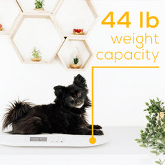 Beurer Baby Scale and Pet Scale BY90 weight capacity