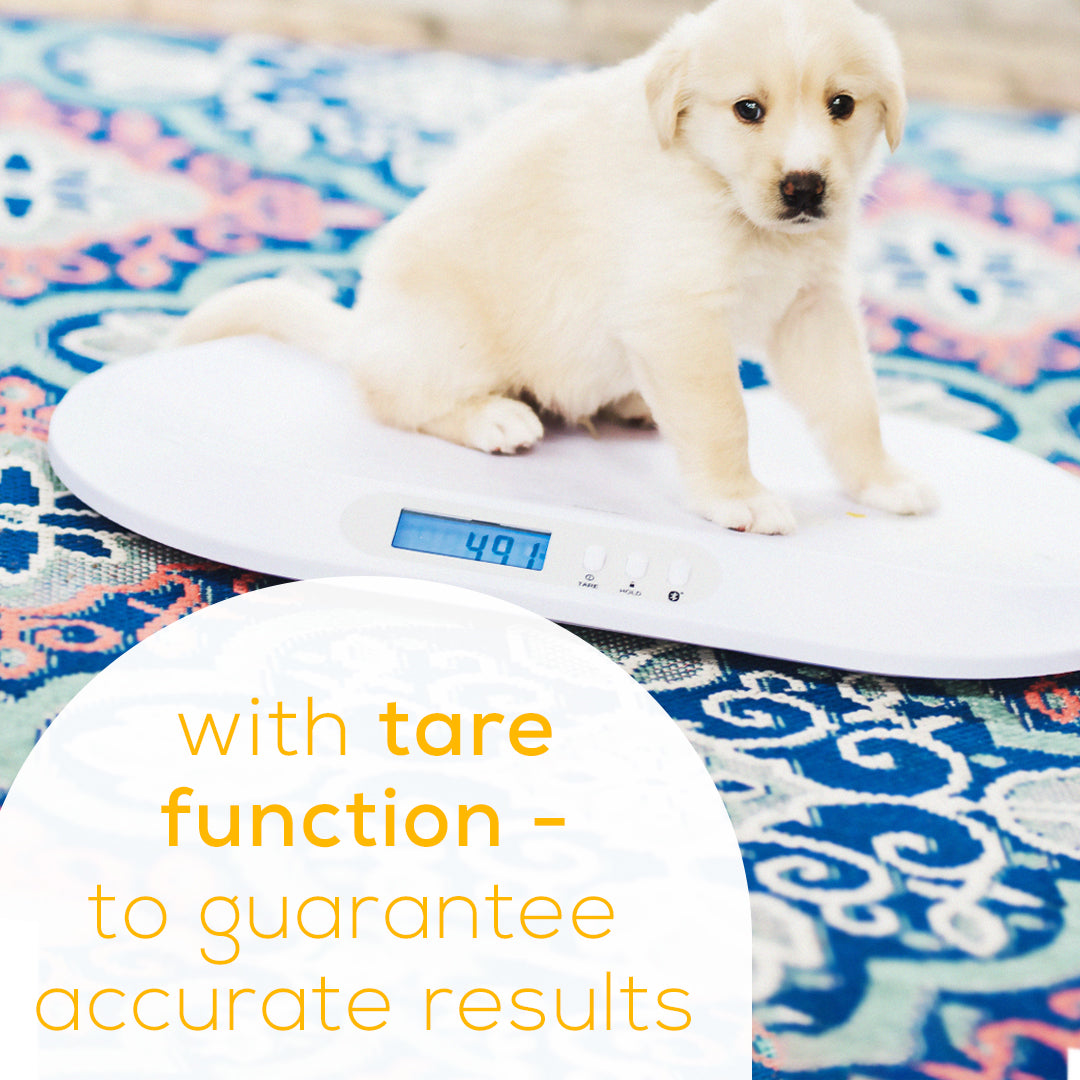 Beurer Bluetooth Digital Baby & Pet Scale,  BY90 with tare function to guarantee accurate results