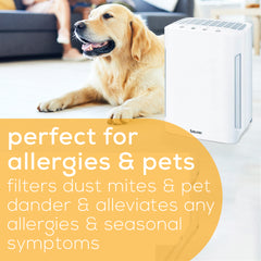 Beurer LR210 Air Purifier pet friendly perfect for allergies and pets