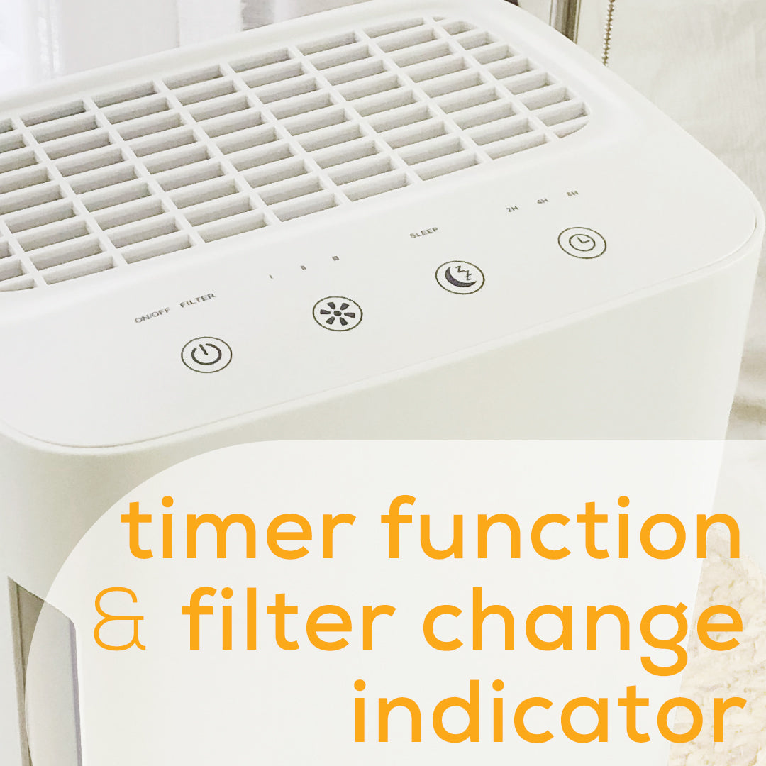 Beurer LR210 Air Purifier timer function and filter change indicator